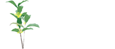 快盈v3